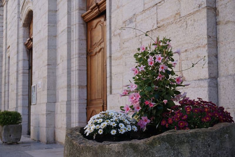 201904 pignans devanture collegiale 2