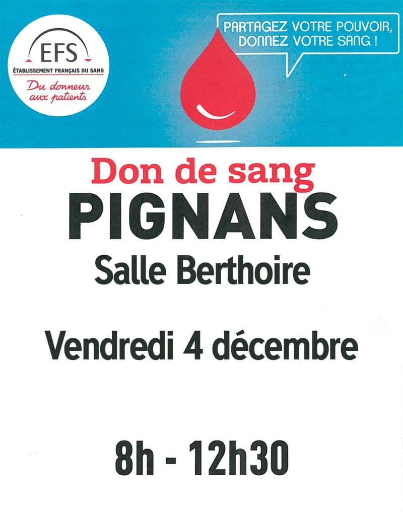 20201204 dondusang pignans