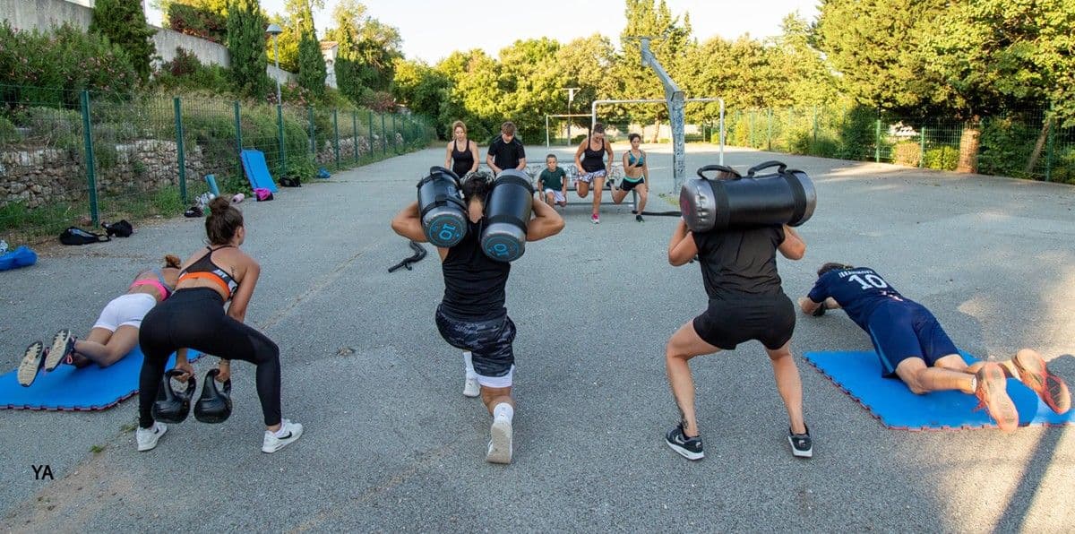 Akc pignans training photo 2020