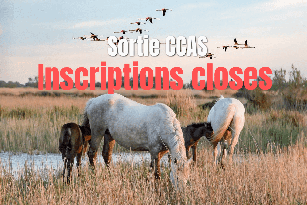 Camargue 1200x800 c default