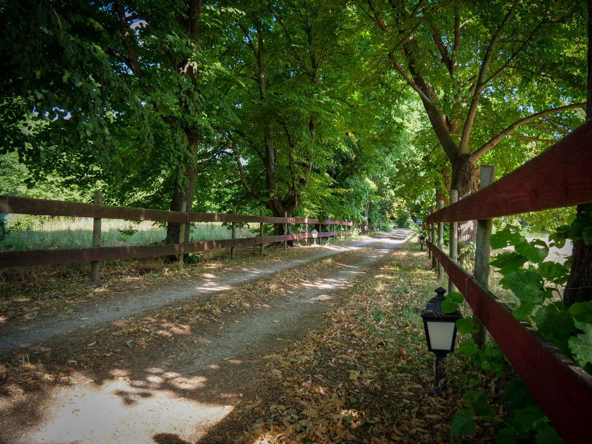 Domaineberthoire10
