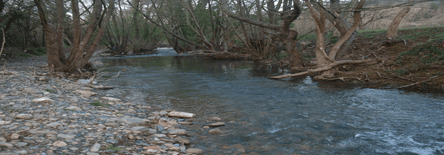 Image 45