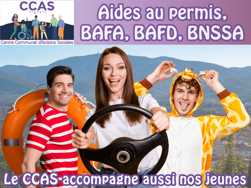 Siteaidepermisbafabnssa2024
