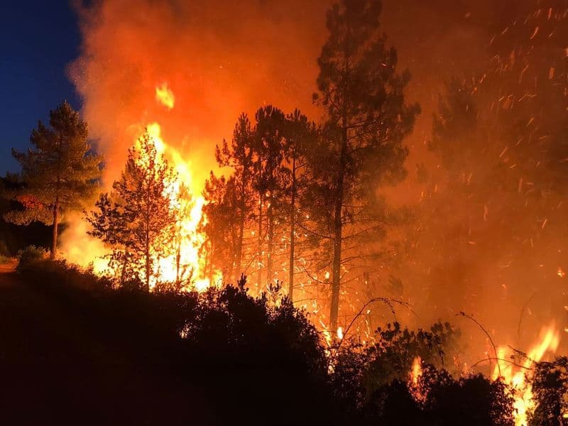 Var incendie feu de foret 1