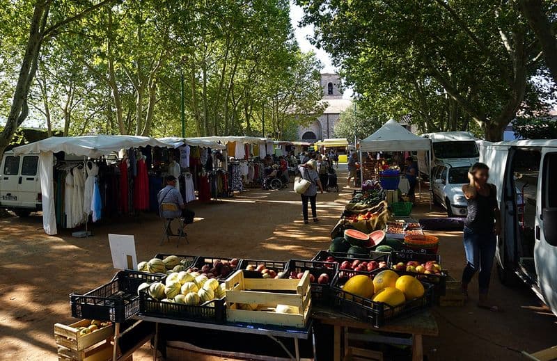 20190725 marche pignans boulodrome