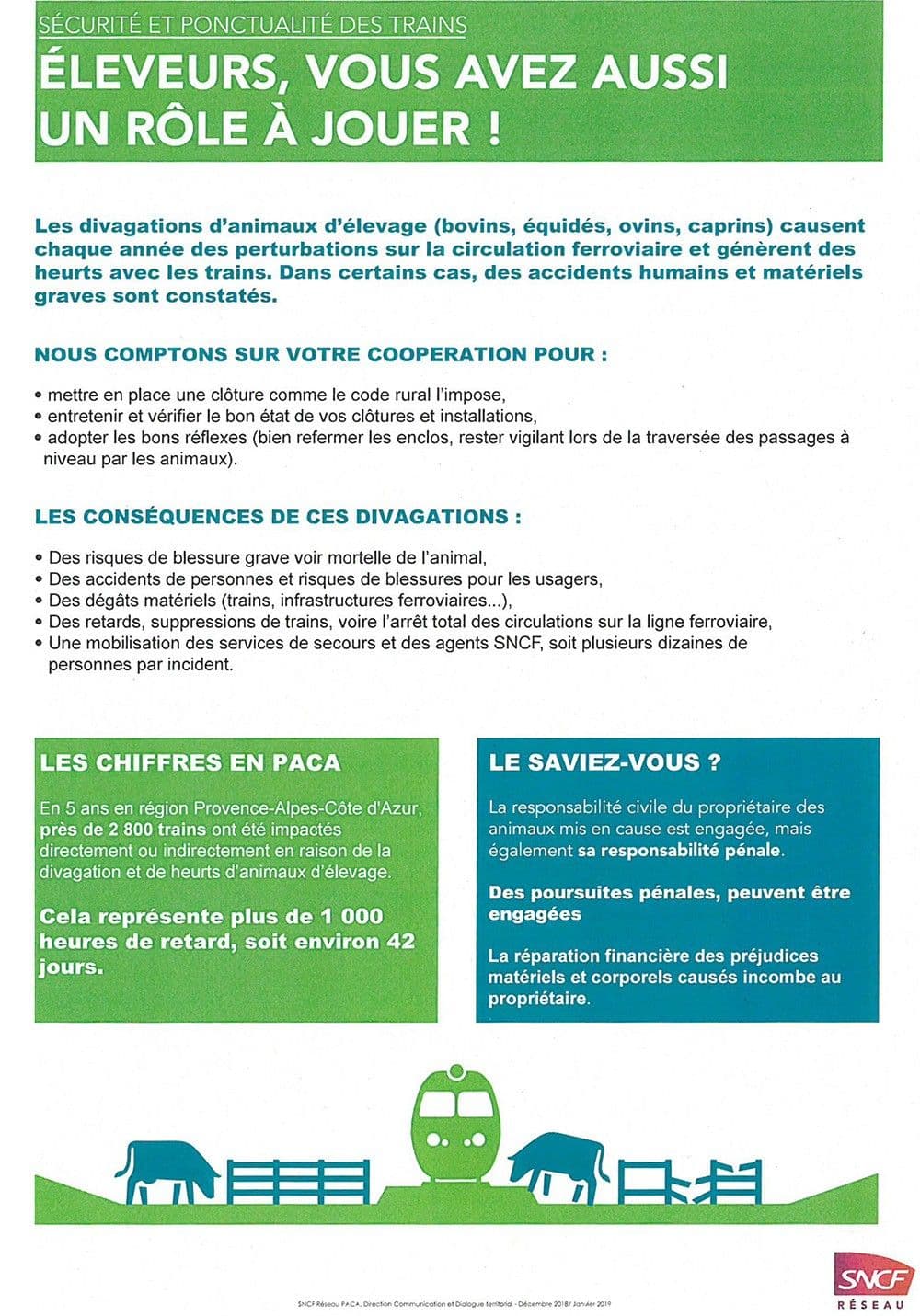 2019 AvisEleverurs