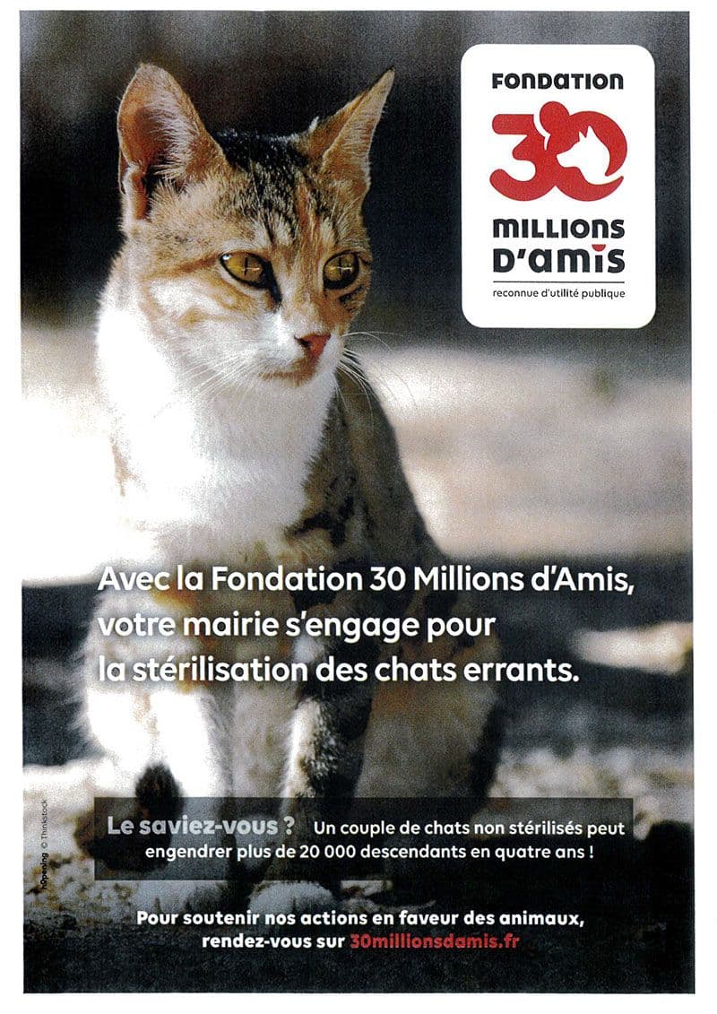 2021 chats pigans 30millions d amis