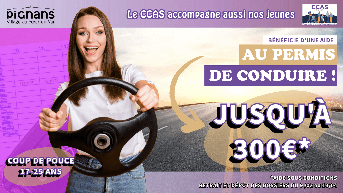 Aidepermisbafabnssa2024 7 1