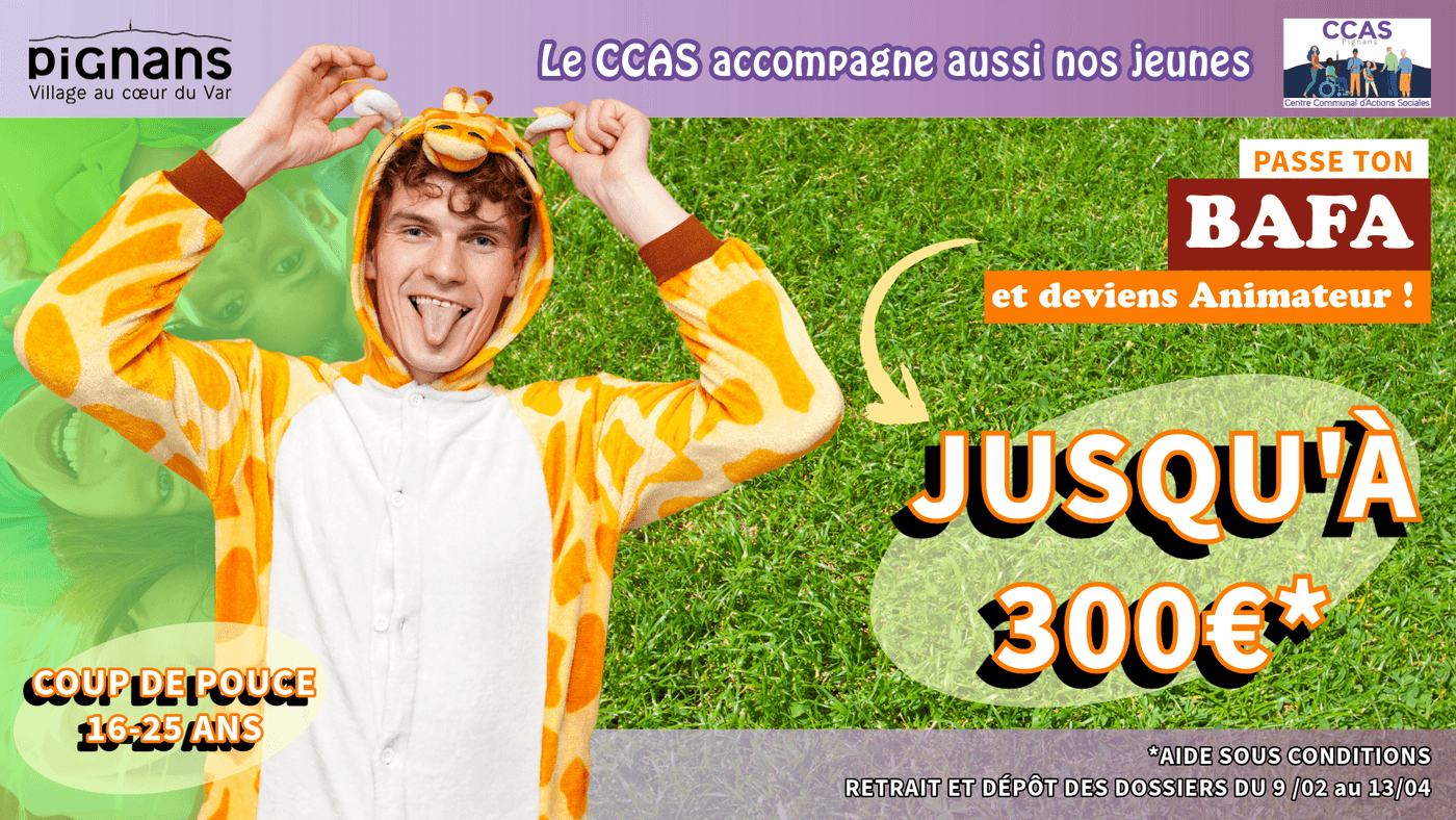 Aidepermisbafabnssa2024 8 1