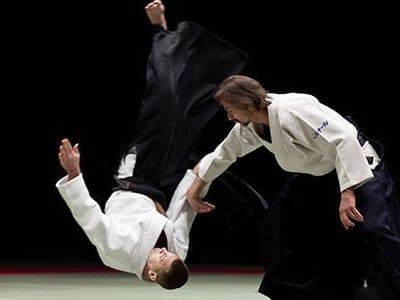 Aikibudo