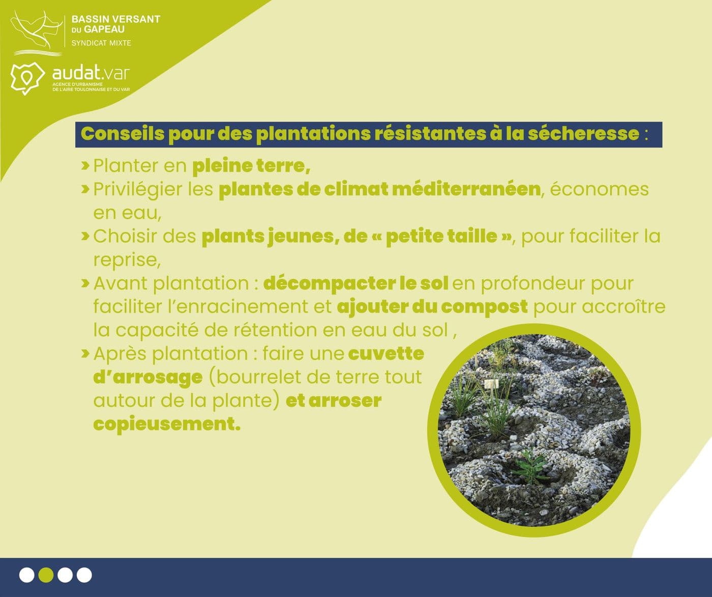Affiche : Automne meilleure periode pour planter 3sur4 1