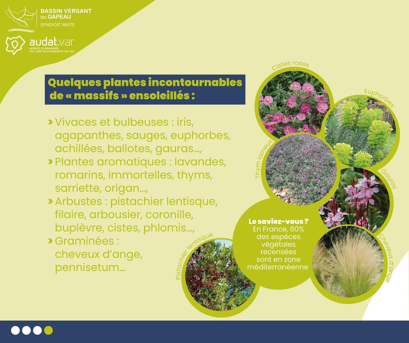 Affiche : Automne meilleure periode pour planter 4sur4 1