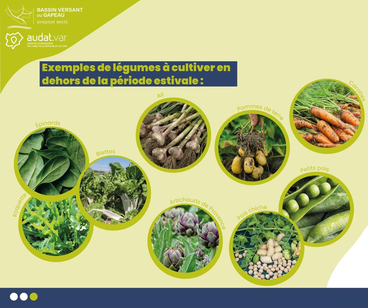 Automne potager automne hiver 3sur3 1
