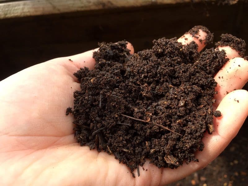 Compost