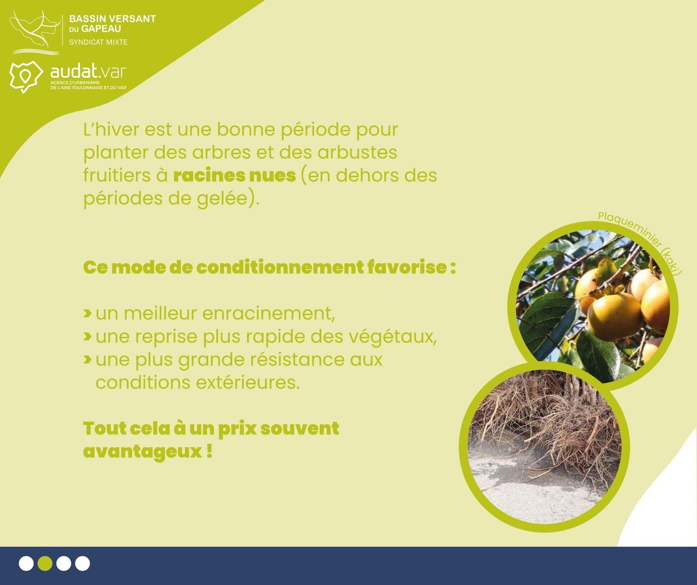 Hiver fruitiers adaptes secheresse 2sur4 2