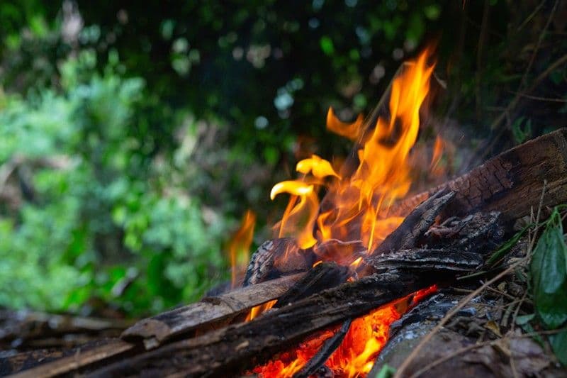 Illustration feu