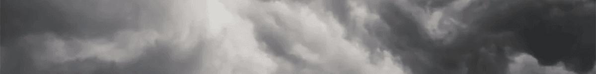 Image 101