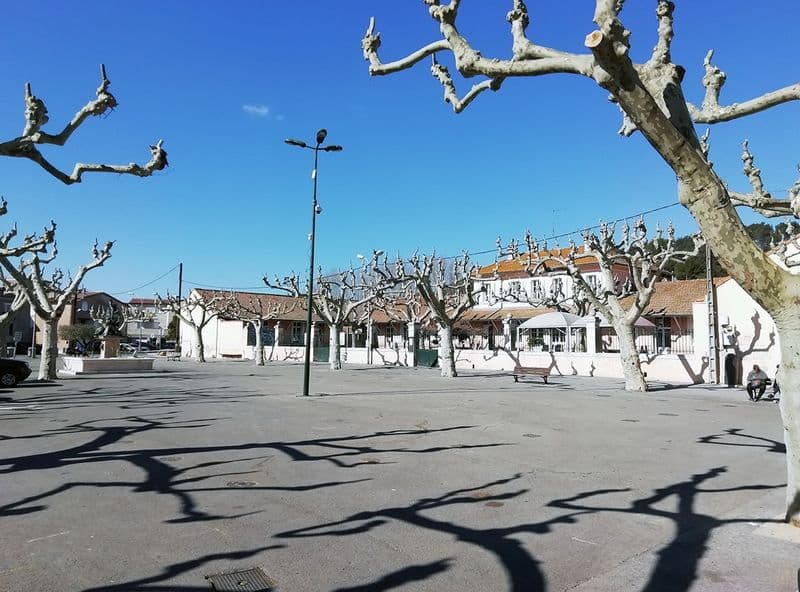 Pignans place des ecoles platanes