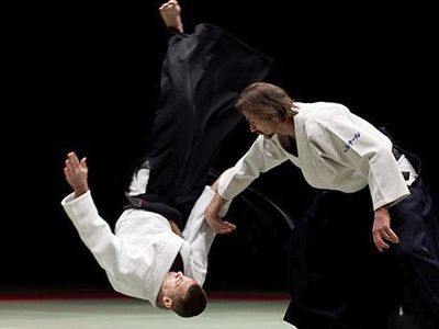 Aikibudo
